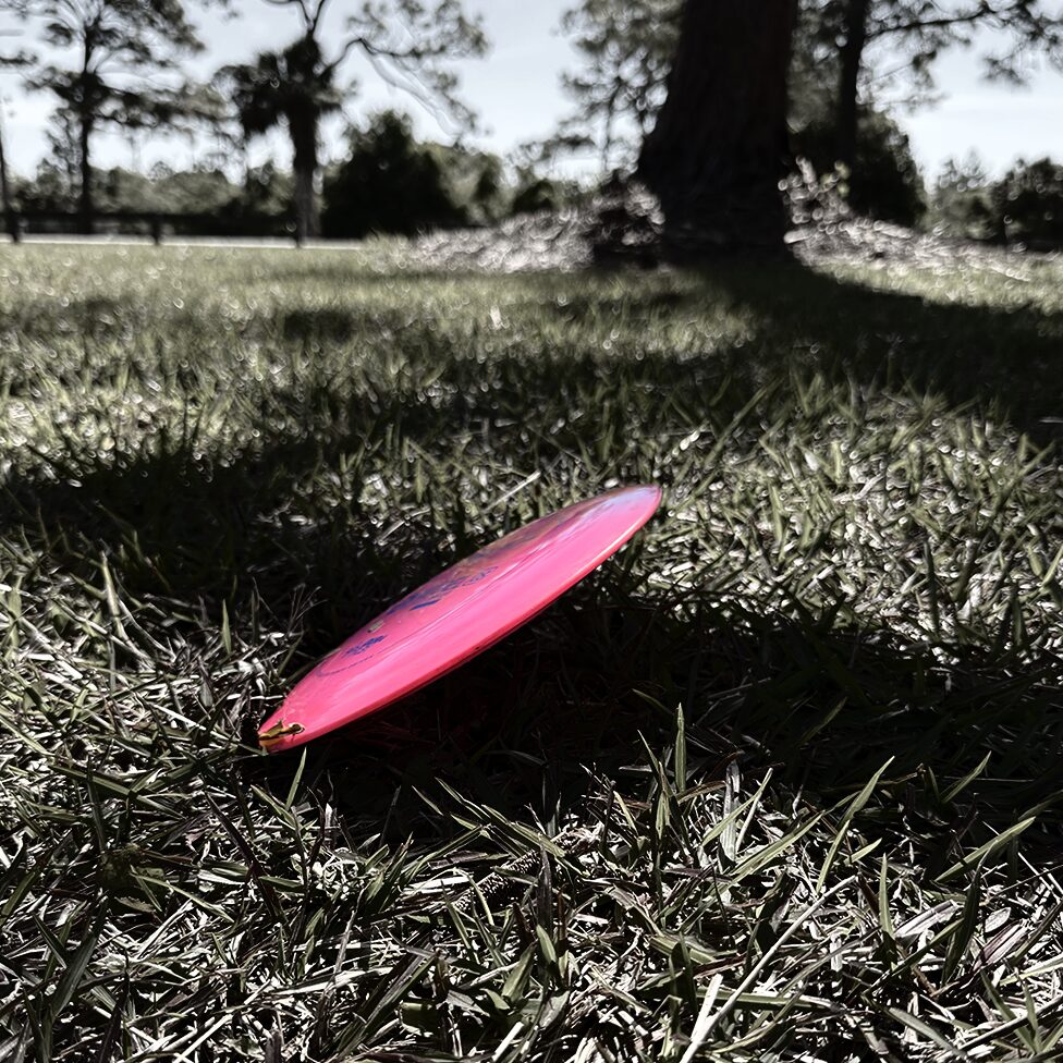 What Used to Be Mine